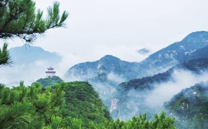 雷竞技比分